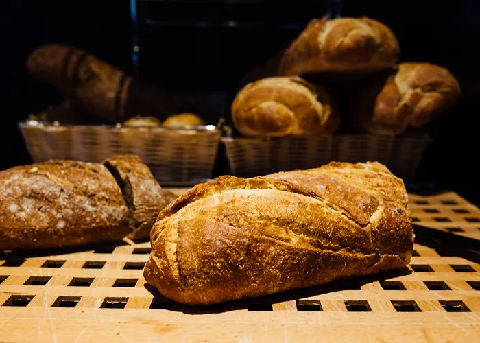 Hotel Malcom And Barret Walencja